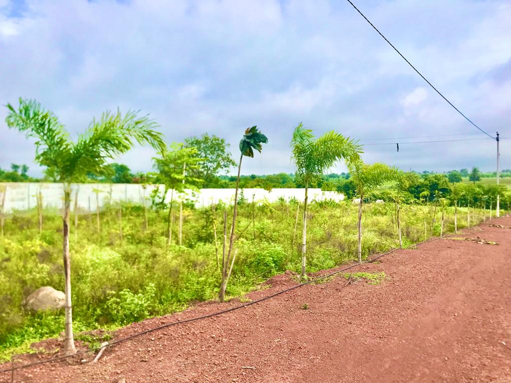 Plot For Sale in Oscar City Manneguda Vika