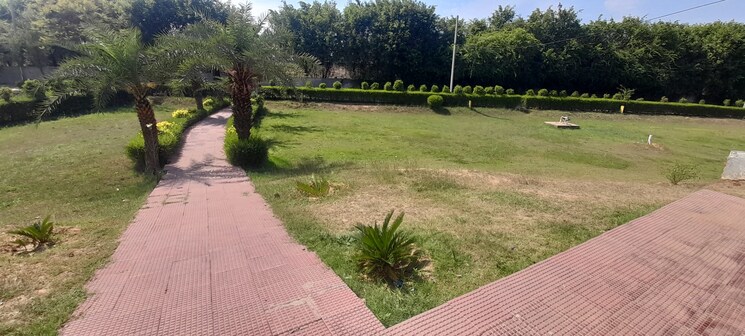 Garden, jewar  300 Sq.Yd. Plot In Jewar Greater Noida 7964994