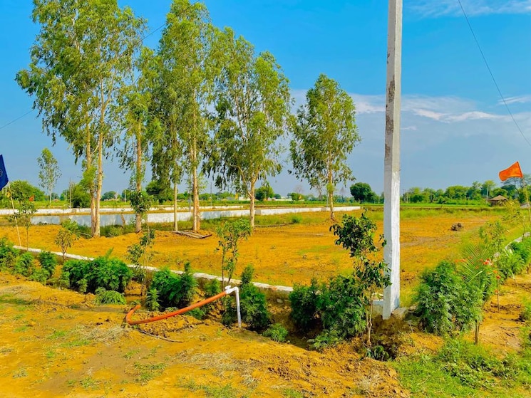 undefined, jewar  258 Sq.Yd. Plot In Jewar Greater Noida 7965000