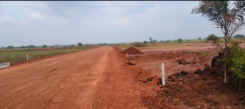 Plot For Resale in Myron Royal Crest Digwal Hyderabad  7965019