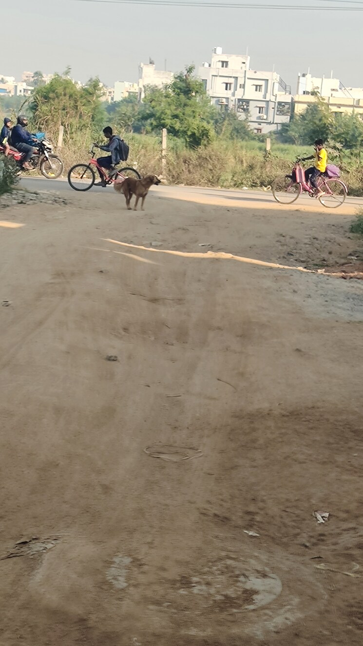 Exterior View, vanasthalipuram  150 Sq.Yd. Plot In Vanasthalipuram Hyderabad 7965061