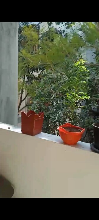 2 BHK Apartment For Rent in Sainath Nagar Pune  7965086