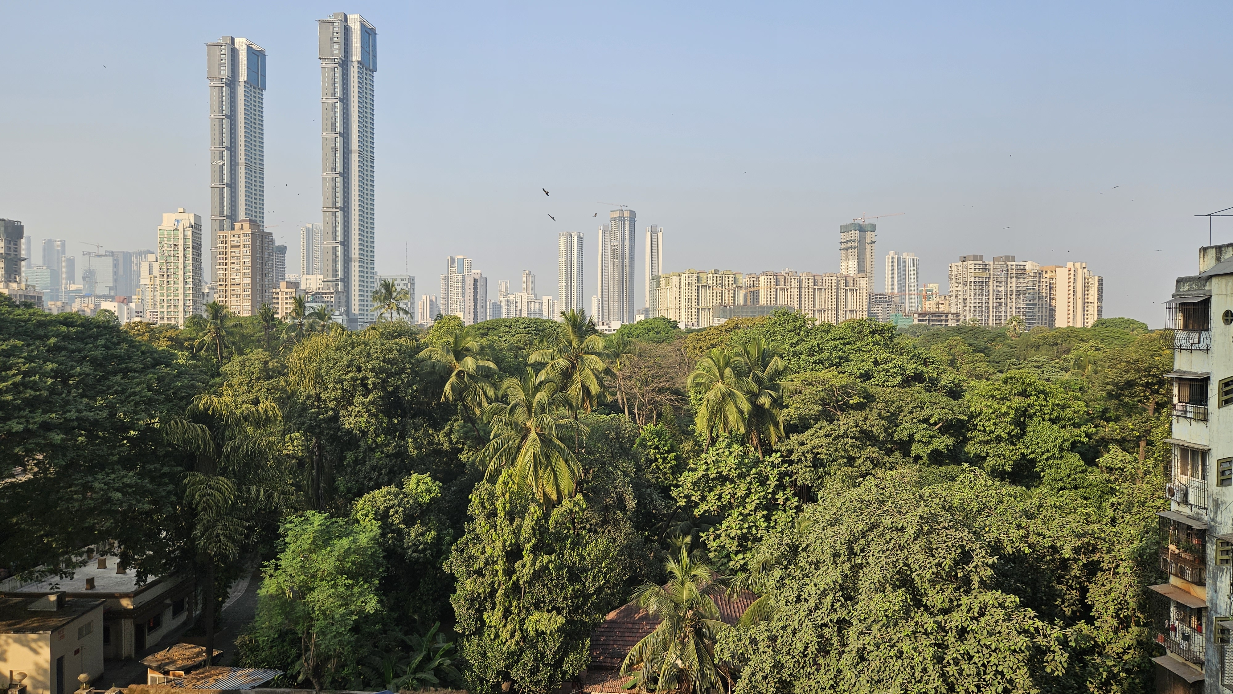 1 BHK Apartment For Sale in Livstone Viva