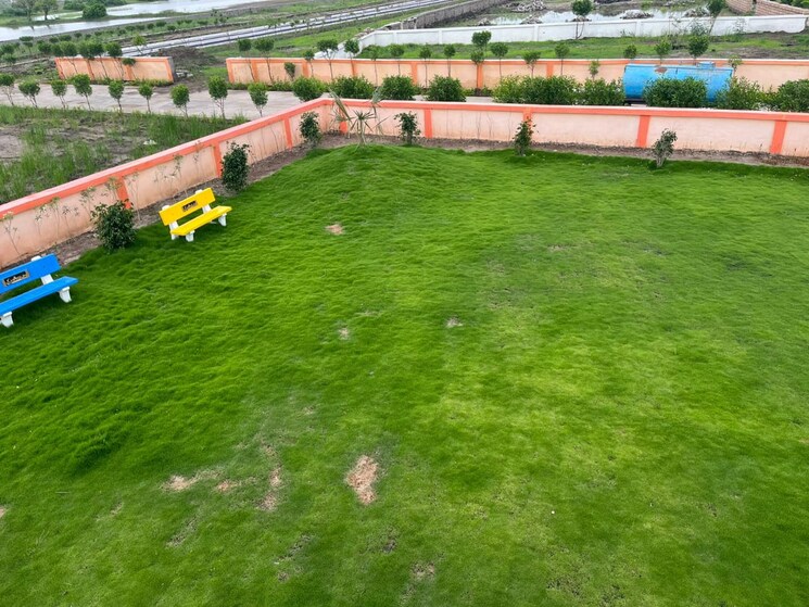 Garden, dholera  5000 Sq.Ft. Plot In Dholera Ahmedabad 7965219