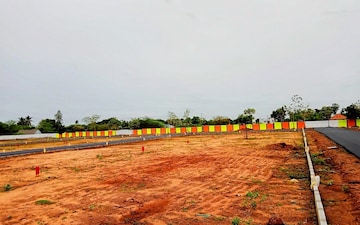 Plot For Resale in Thendral Nagar Trichy  7964510