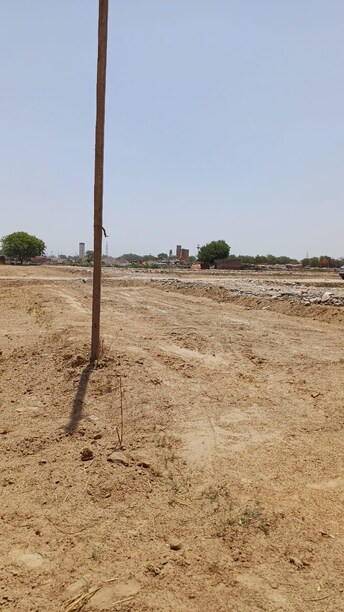 Plot For Resale in Jajru Faridabad  7965221