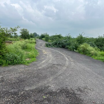 Plot Area in  Plot at Sector 145 – for Sale