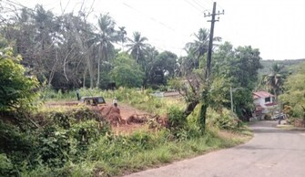 Plot For Resale in Taliparamba Kannur  7965576