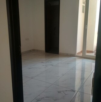 3 BHK Apartment For Rent in Nagla Road Zirakpur  7965827