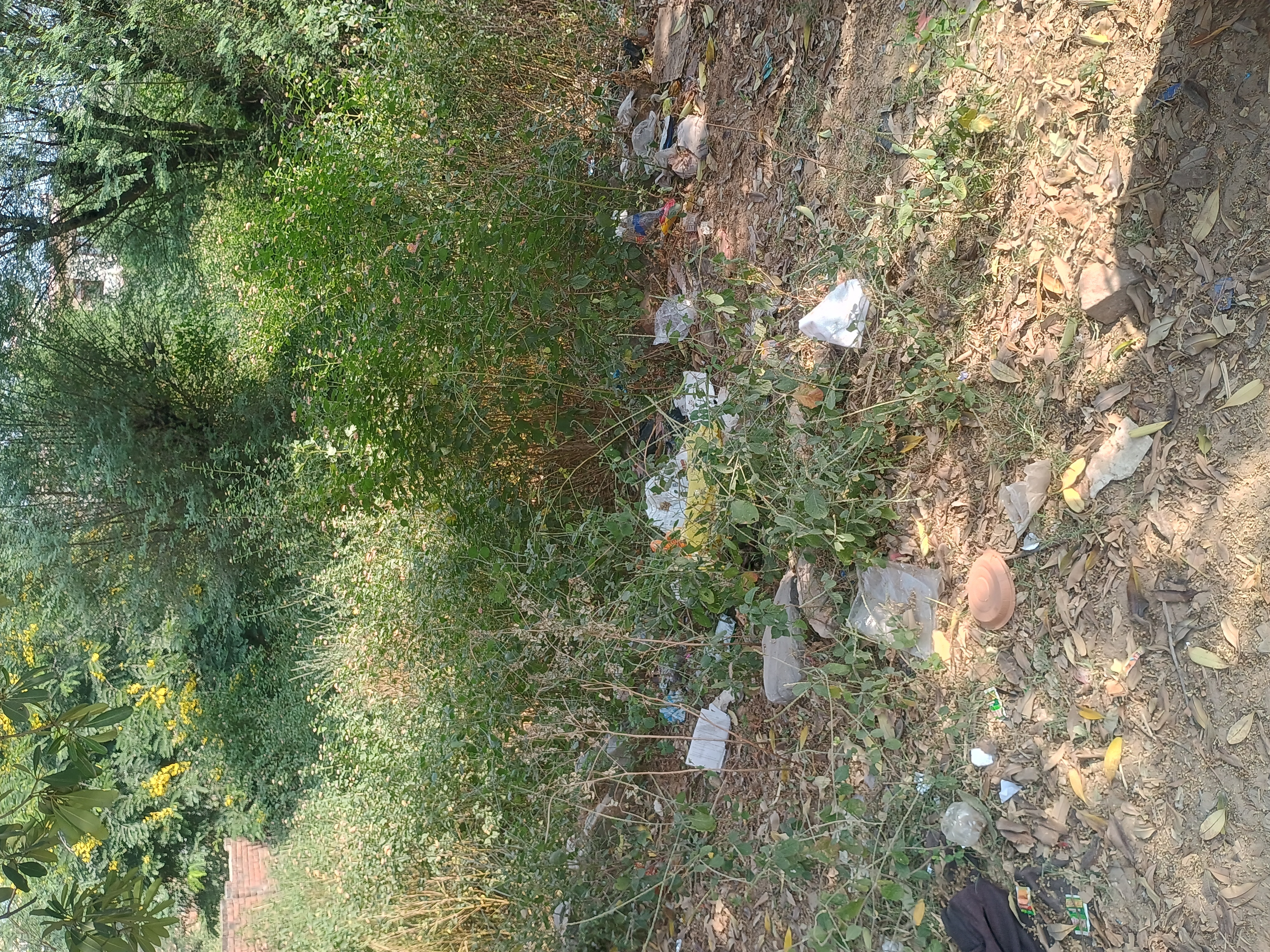 Plot For Sale in Dabas Road Jaunpuri