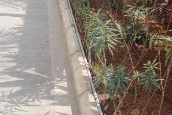 Plot For Sale in Eeshanya Heights, Kishan Nagar