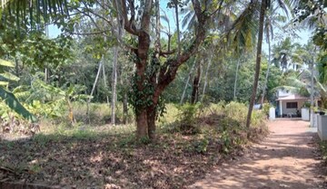 Plot For Resale in Kuthuparamba Kannur  7965933