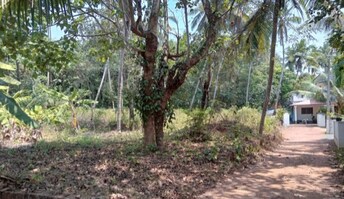 Plot For Resale in Mambaram Kannur  7965955