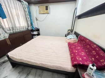 1 BHK Apartment For Rent in Ahimsa Niketan CHS Malad West Mumbai  7966014