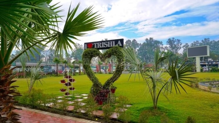 Garden, trishla-city 3 Bedroom 1720 Sq.Ft. Apartment In Patiala Road Zirakpur 7966085