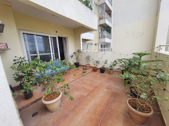 3 BHK Apartment For Rent in Salarpuria Sattva Greenage Hosur Road Bangalore  7966146