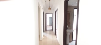 3 BHK Apartment For Rent in Tata Eureka Park Sector 150 Noida  7966205