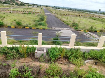 Plot Area in  Plot at KDR Estates, Amangal – for Sale