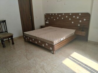 1 BHK Builder Floor For Rent in Sushant Lok 1 Sector 43 Gurgaon  7966383