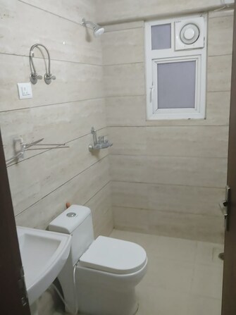 3 BHK Apartment For Rent in Sector 1 Noida  7966425