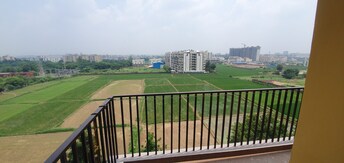 2 BHK Apartment For Rent in Trishla City Patiala Road Zirakpur  7966411