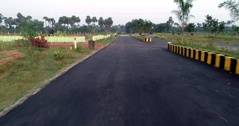 Plot For Sale in Kothavalasa