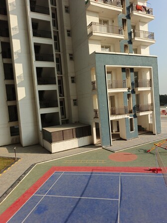 2 BHK Apartment For Resale in SLF Anushree Sector 75 Faridabad  7966746