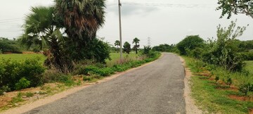  Plot For Sale in Ibrahimpatnam
