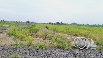 Plot Area in  Plot at Kanholi – for Sale
