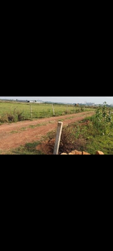 Plot Area in  Plot at Patrapada – for Sale
