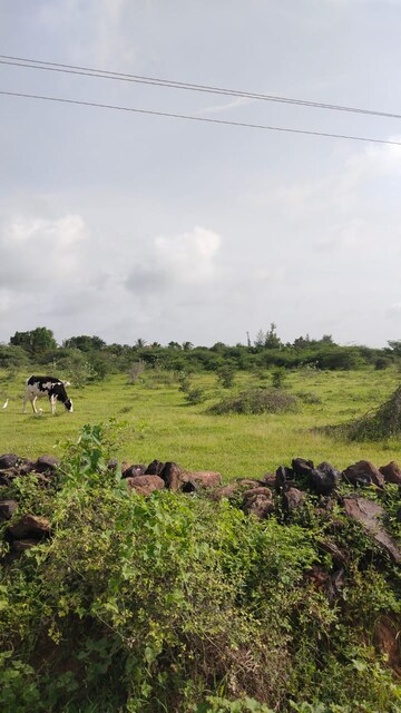  Plot For Sale in Science City