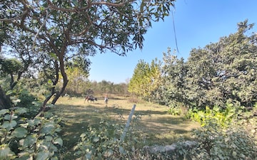 Plot For Sale in Ramnagar