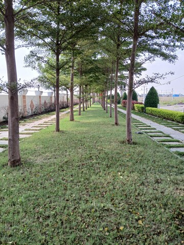  Plot – Exterior View View at Satna Road - for Sale