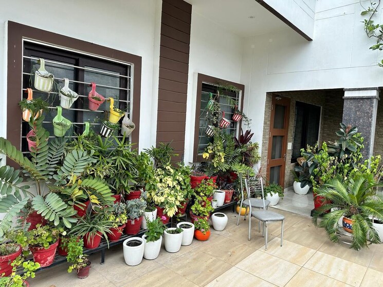  Parking, dalanwala 4 Bedroom 328 Sq.Yd. Independent House In Dalanwala Dehradun 7967596