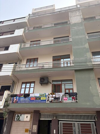 2 BHK Apartment For Rent in Surendra Avenue 69 Sector 69 Gurgaon  7967623