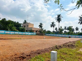 Plot For Resale in Nanjikottai Thanjavur  7967745