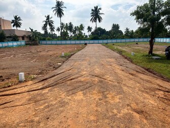 Plot For Resale in Nanjikottai Thanjavur  7967745