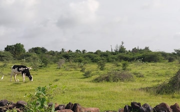 Plot For Sale in Ambli