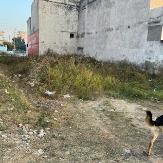 Commercial Land 900 Sq.Ft. For Resale in Sector 62 Faridabad  7968195