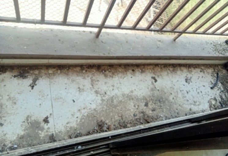 Balcony, prithvi-pride 1 Bedroom 450 Sq.Ft. Apartment In Mira Road Thane 7968229