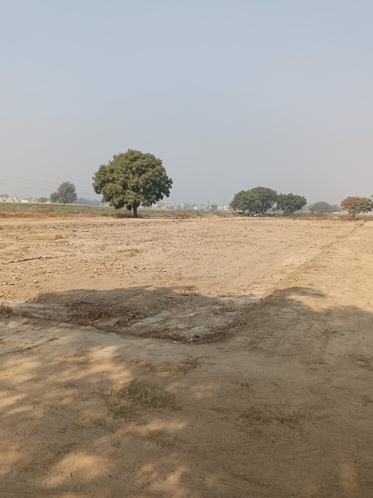 undefined, gadpuri  250 Sq.Yd. Plot In Gadpuri Palwal 7968304
