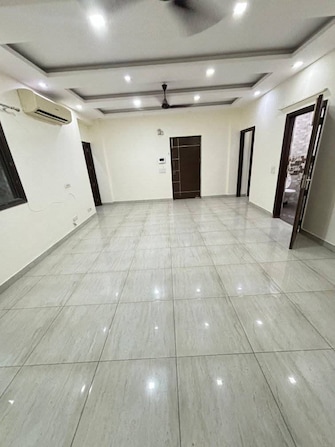 3 BHK Builder Floor For Rent in Ansal Plaza Sector-23 Sector 23 Gurgaon  7968316