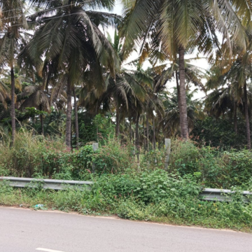 Plot For Sale in Bidadi