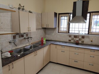 3 BHK Builder Floor For Rent in Sector 21c Faridabad  7968594