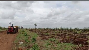 Plot Area in  Land at Narayankhed – for Sale