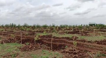 Plot Area in  Land at Narayankhed – for Sale