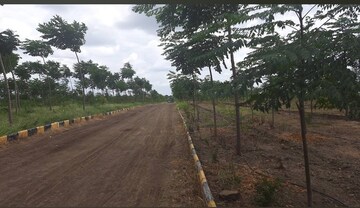 Plot Area in  Land at Narayankhed – for Sale