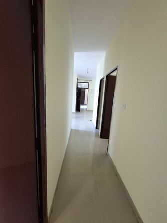 4 BHK Apartment For Resale in Vip Road Zirakpur  7968756