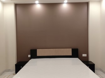 4 BHK Apartment For Rent in Boutique Residential Apartments C-220 Malviya Nagar Delhi  7968893