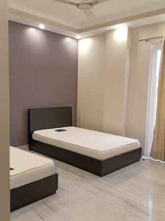 4 BHK Apartment For Rent in Boutique Residential Apartments C-220 Malviya Nagar Delhi  7968893